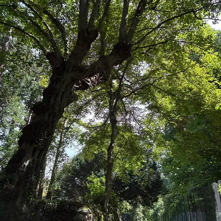 Gasthof La Casa Nel Bosco 3*